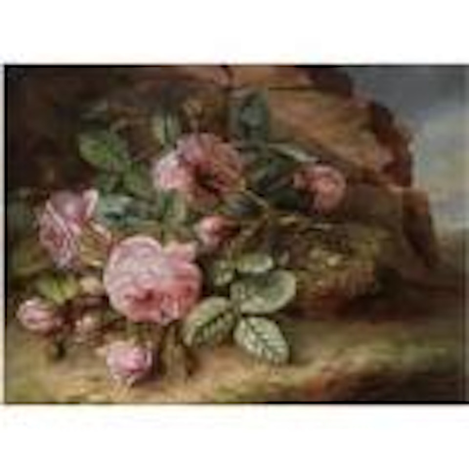 A still life with roses near a bird's nest by Margaretha Roosenboom