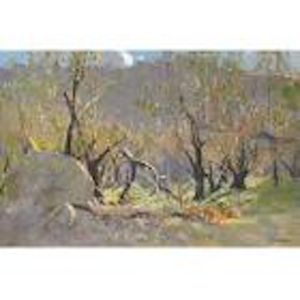 Our untidy bush by Arthur Ernest Streeton