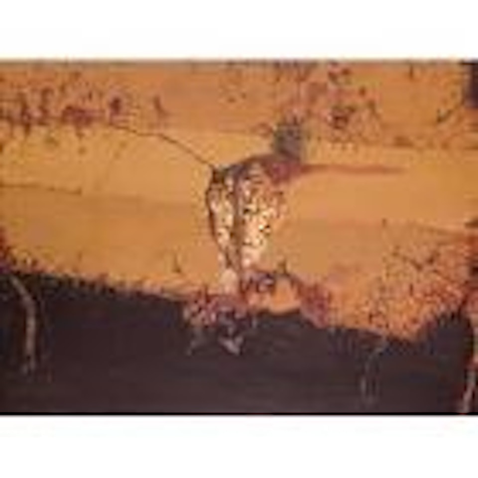 Landscape and night heron by John Olsen