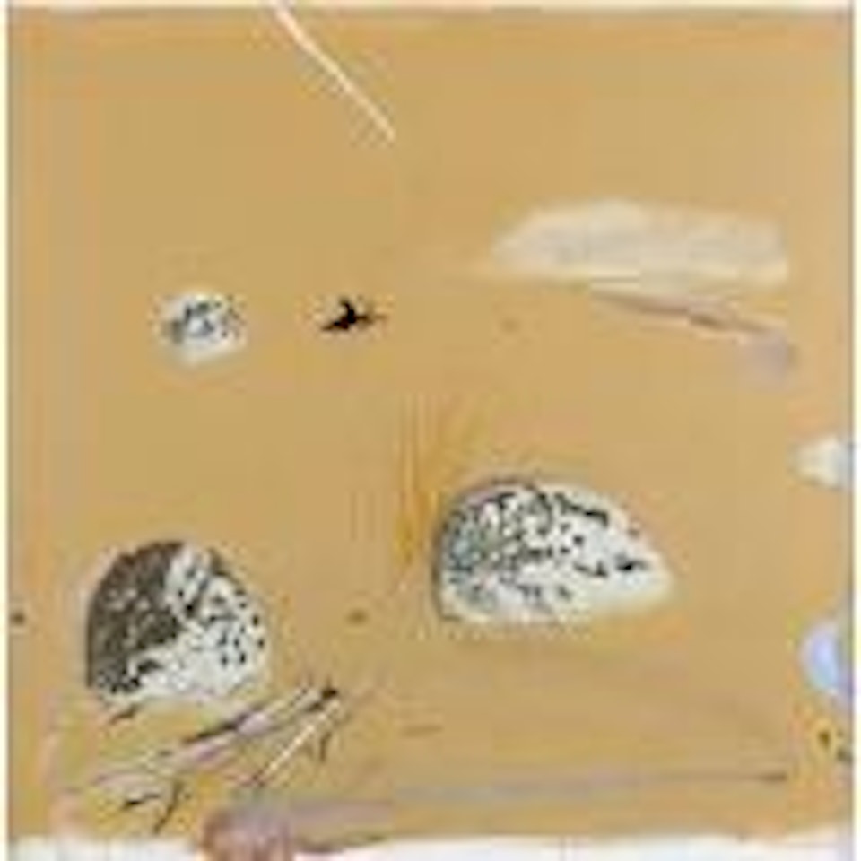 The crow: Zen by Brett Whiteley