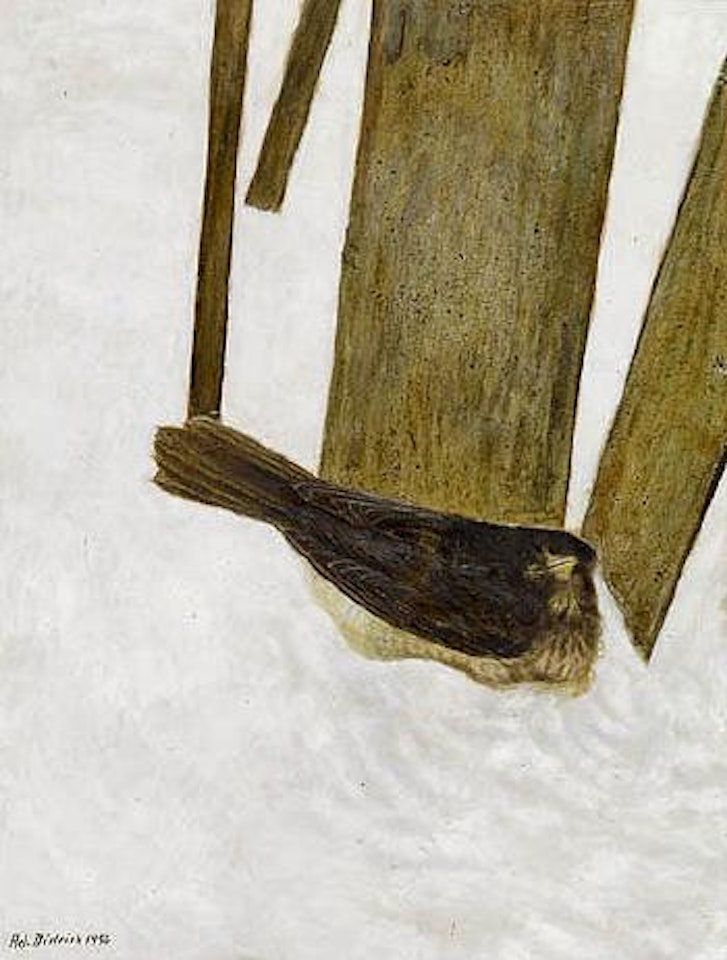 Tote Amsel im Schnee by Adolf Dietrich