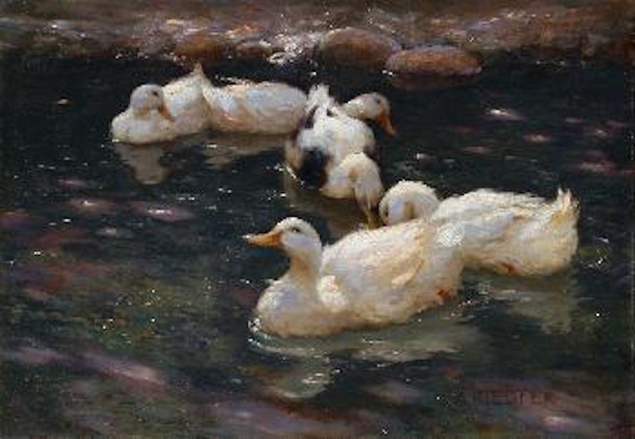 Enten im Fluss by Alexander Koester