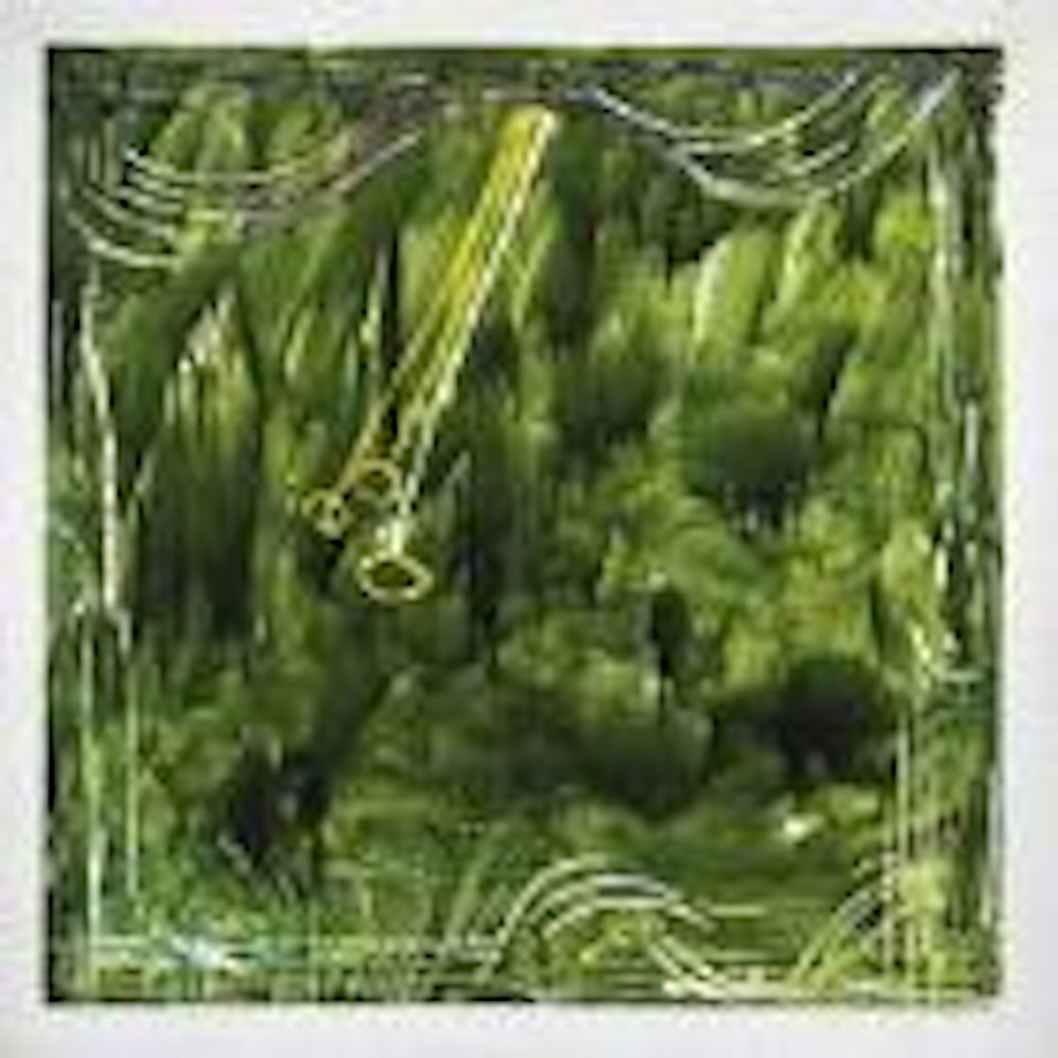 Grande quadro verde by Mario Schifano
