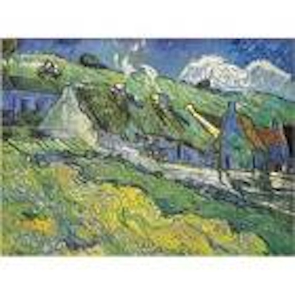 Senza titolo (Van Gogh) by Stefano Arienti
