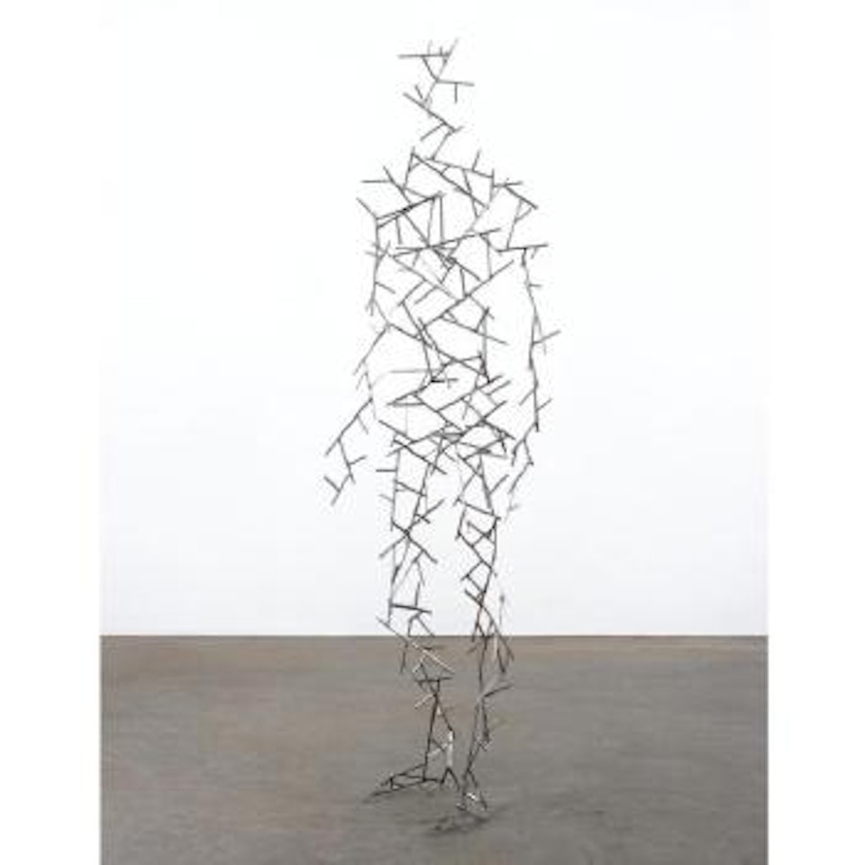 Domain LIX by Antony Gormley