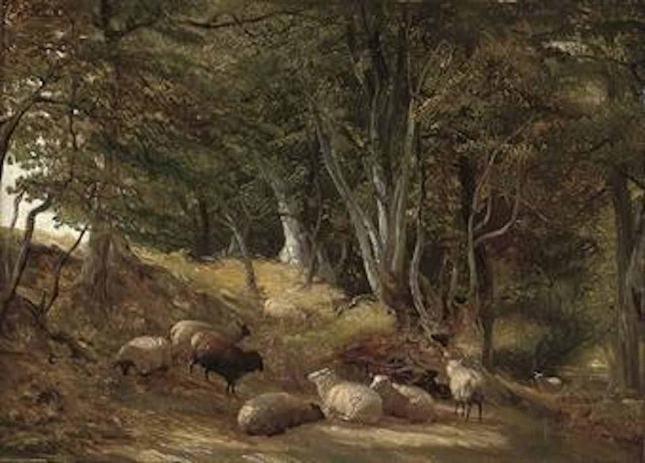 Sheep grazing in a glade by Thomas Sidney Cooper