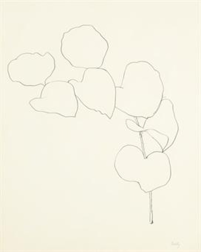 Briar by Ellsworth Kelly