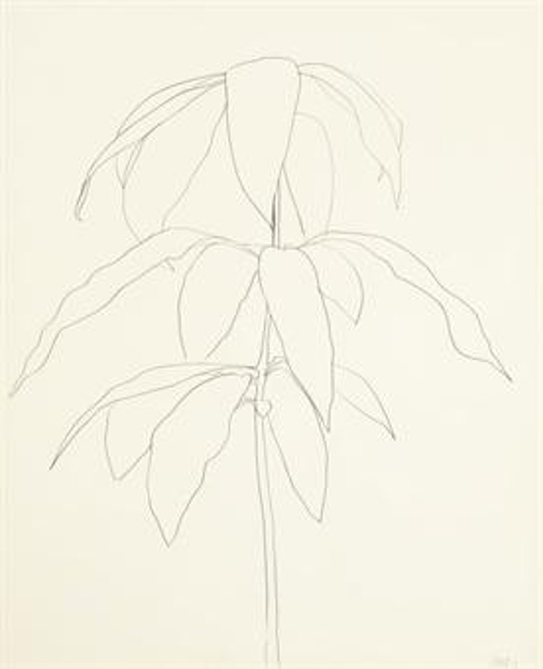 Mango by Ellsworth Kelly