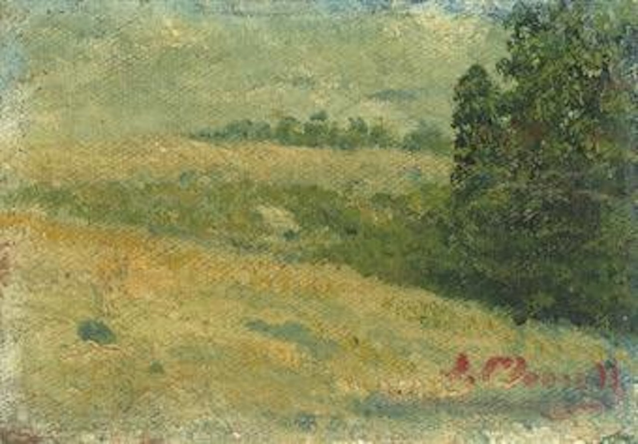 Paisaje by Joaquín Clausell