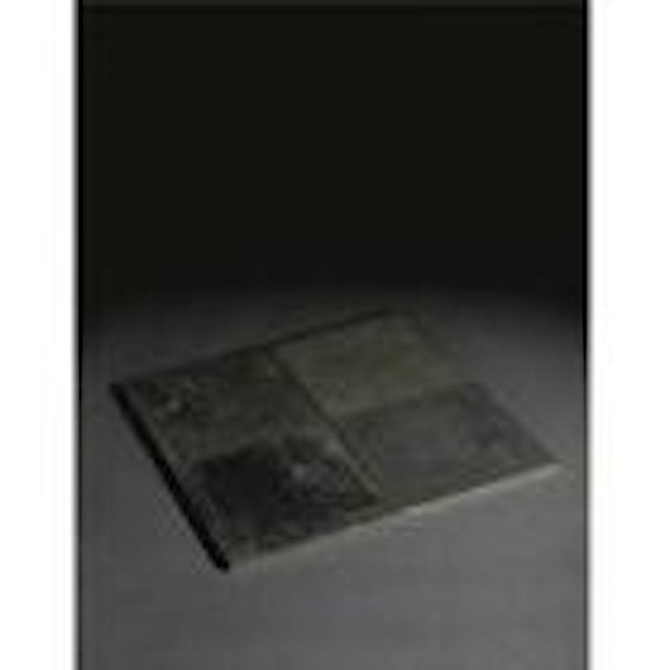 Magnesium Quadrank by Carl Andre