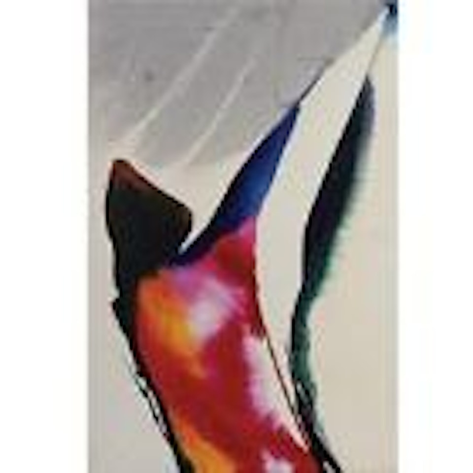 Phenomena Sight Unseen by Paul Jenkins