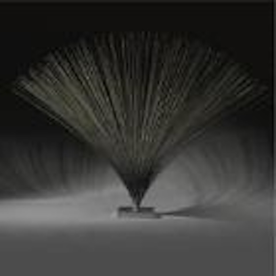 Untitled (Small Spray) by Harry Bertoia