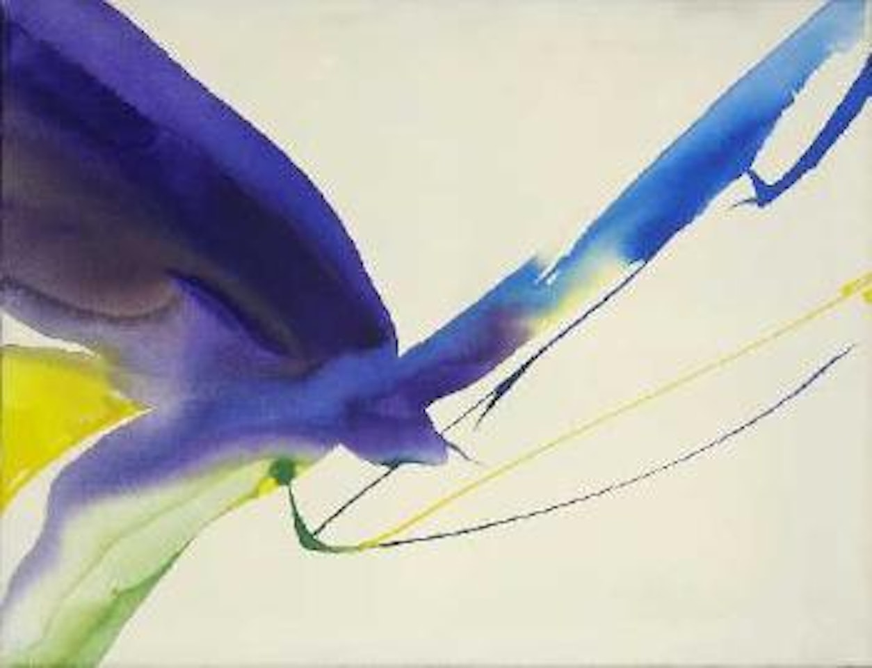 Phenomena Point of Return by Paul Jenkins