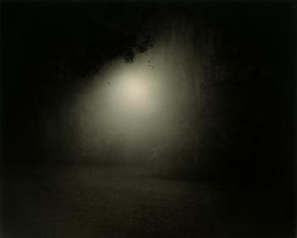 Untitled (Deep South #7) by Sally Mann