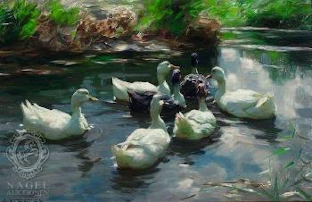 Enten im Teich (fünf weiße, zwei dunkle) by Alexander Koester
