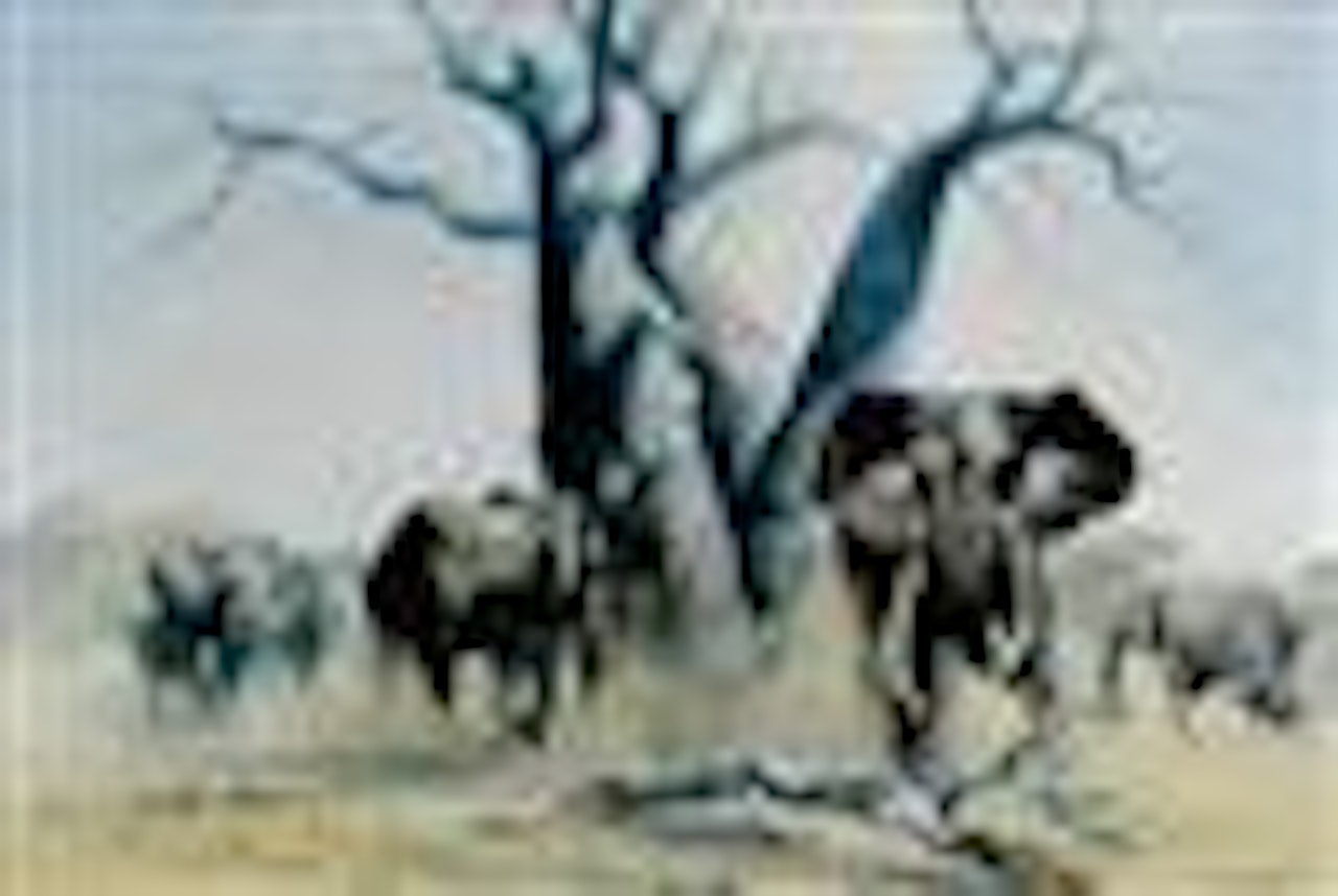Charging elephants by Donald Grant