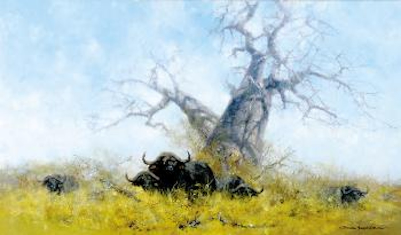 Cape buffalo under baobab tree by David Shepherd