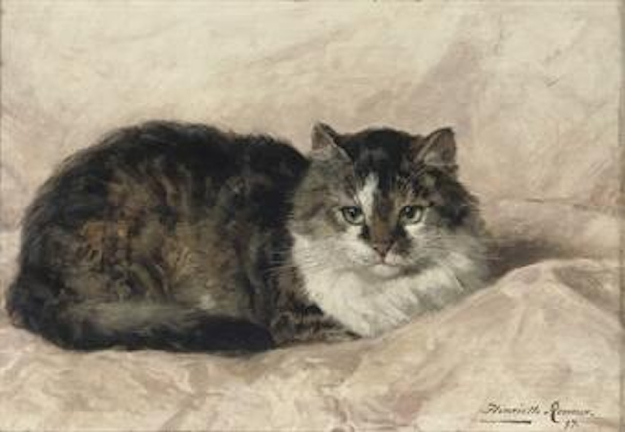 On a pink pillow by Henriette Ronner-Knip