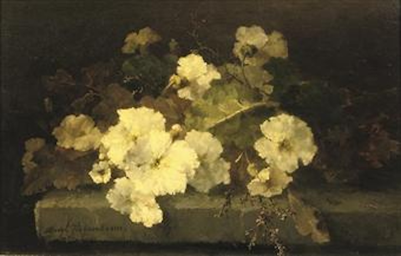 Still life with primroses on a stone ledge by Margaretha Roosenboom