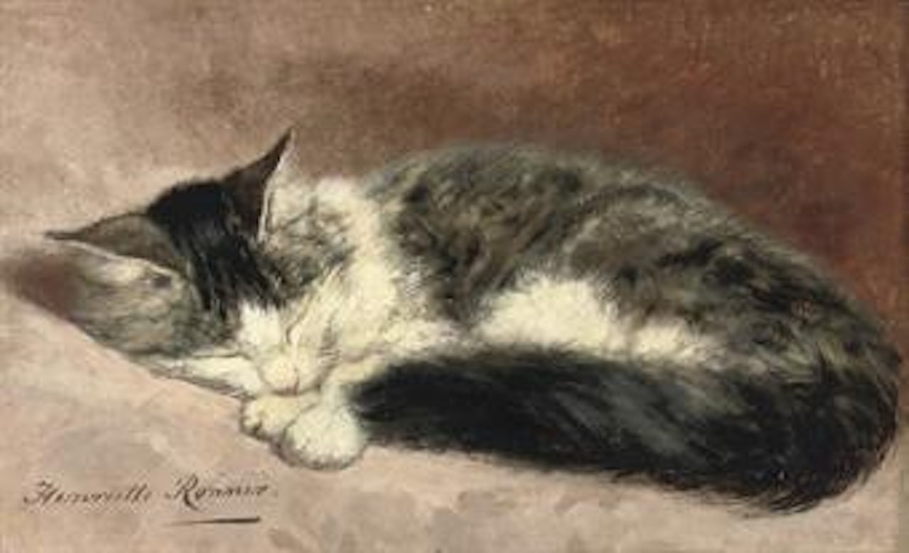 Taking a nap by Henriette Ronner-Knip