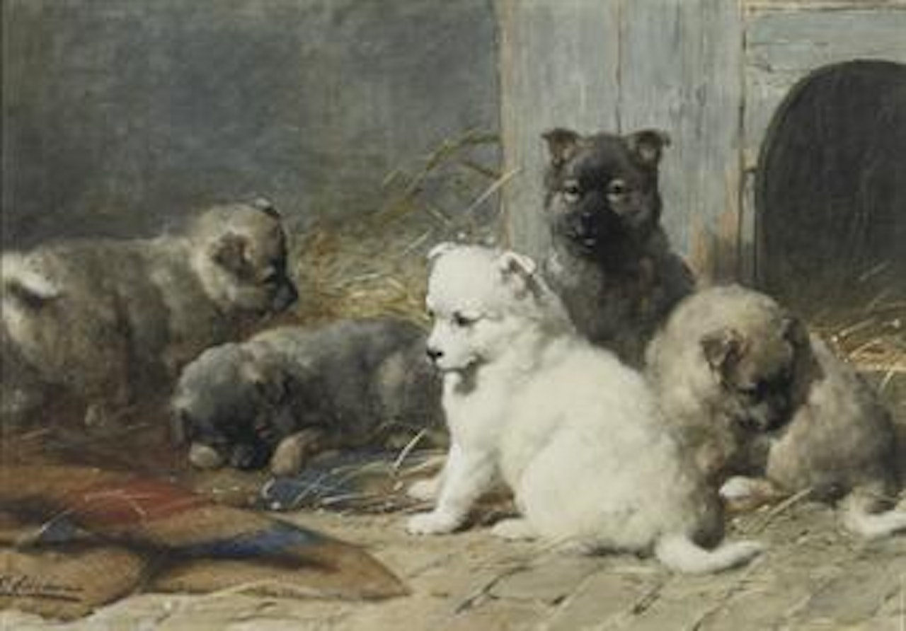 Sweet pups by Otto Eerelman