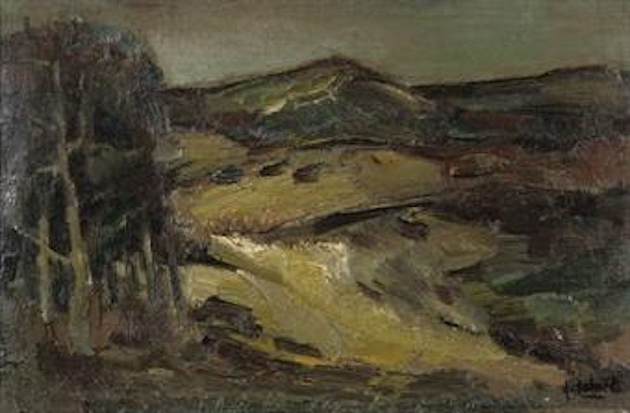 A dune landscape by Arnout Colnot