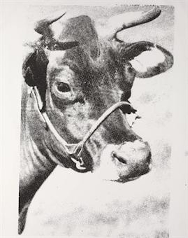 Cow by Andy Warhol