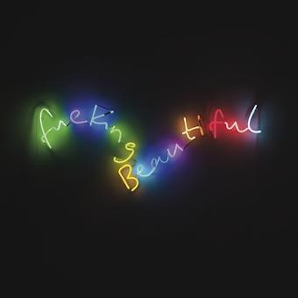 Fuckingbeautiful, (Detail, Rainbow Version) by Tim Noble & Sue Webster