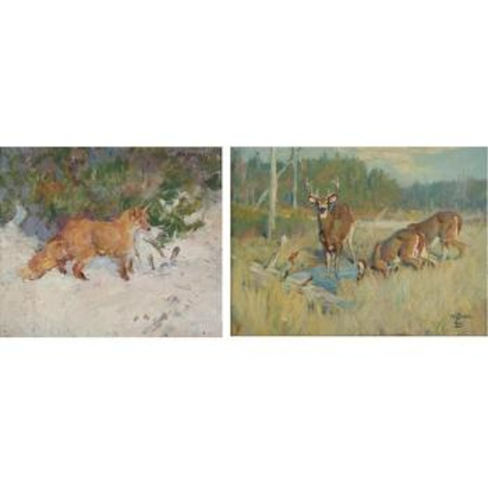 Fox With Catch. Deer In A Field by Frank B. Hoffman