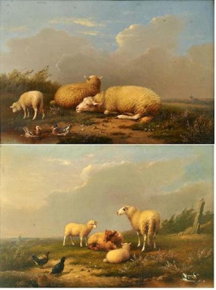 Sheep and poultry in a field. Sheep and poultry in a field by Eugène Joseph Verboeckhoven
