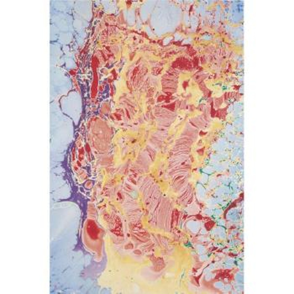 Melting Head by Philip Taaffe