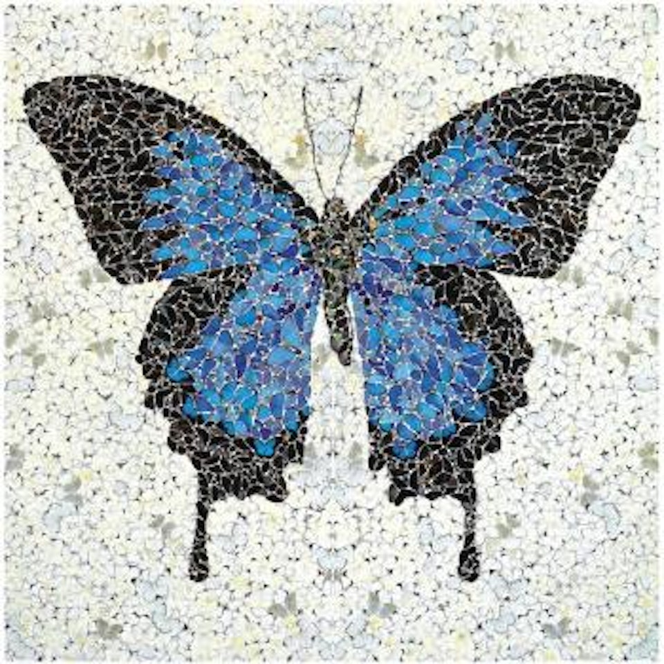 Papilio Ulysses by Damien Hirst