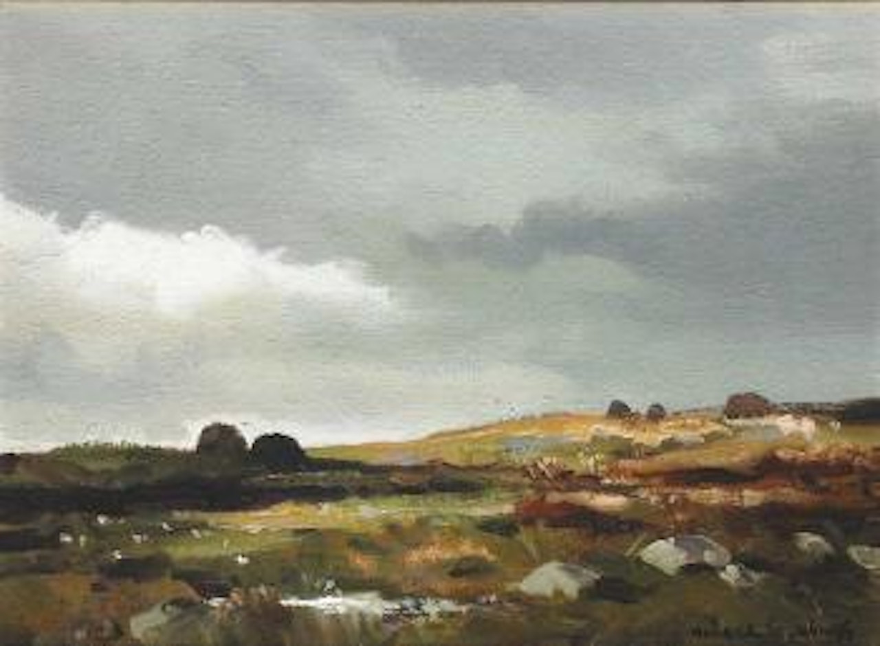 Bog Land, Rosses Country, County Donegal by Maurice Canning Wilks