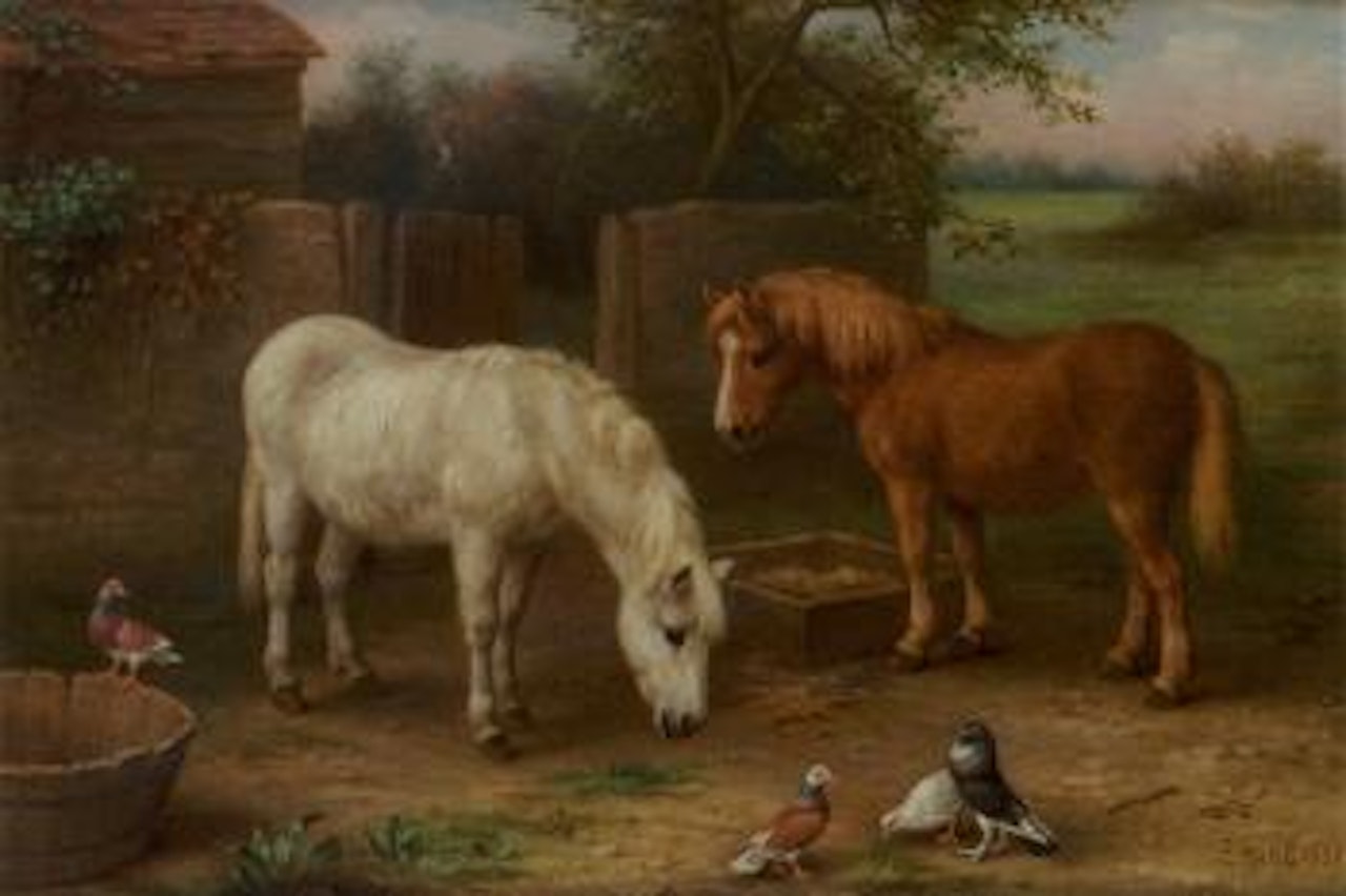 A grey and a chestnut pony with pigeons by a gate by Edgar Hunt
