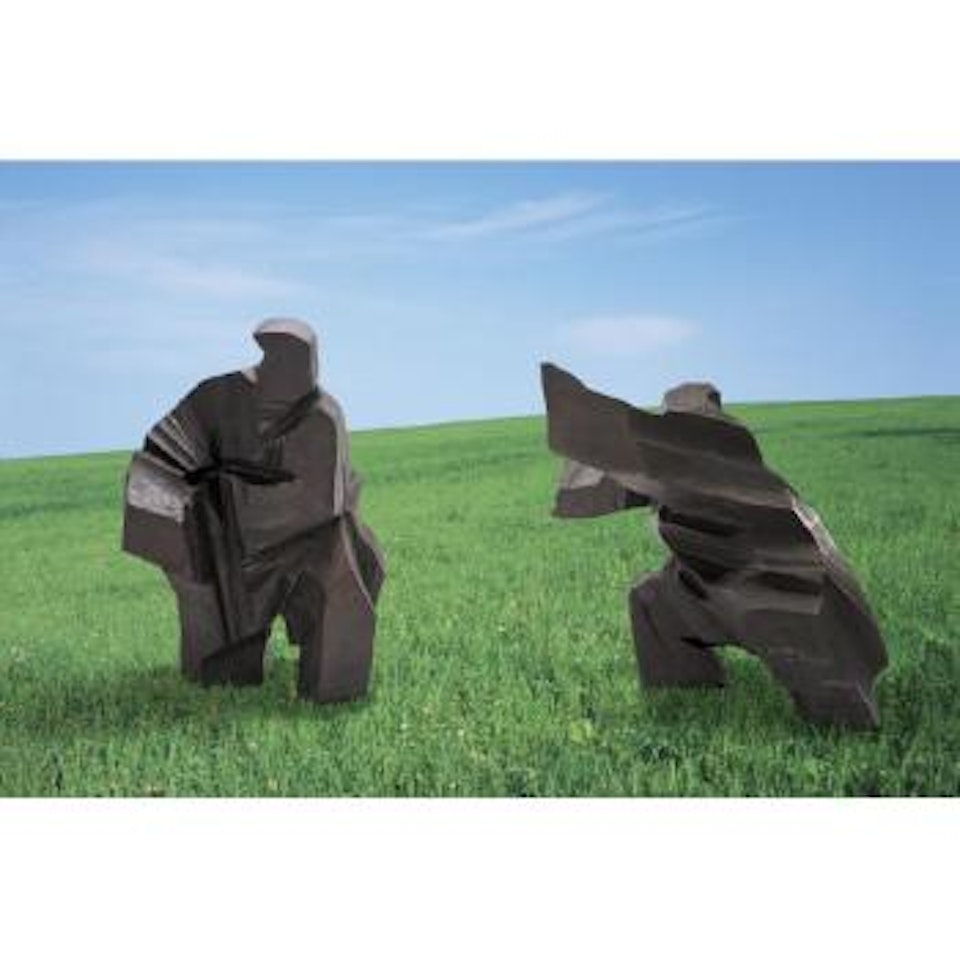 Tai Chi Series by Ju Ming