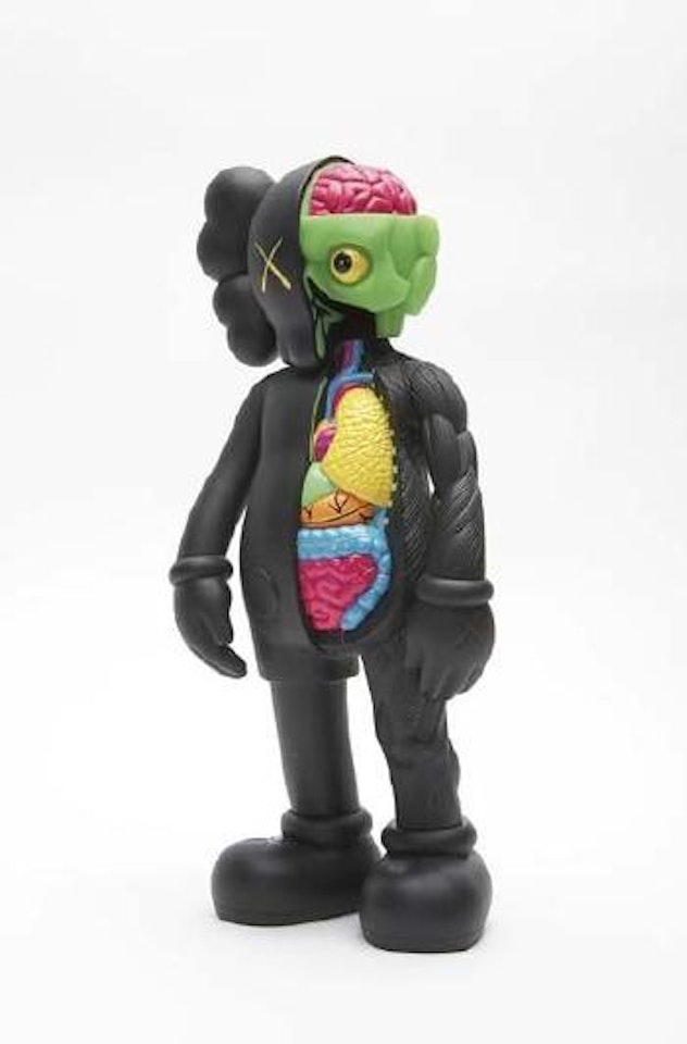 Dissected Companion by Kaws