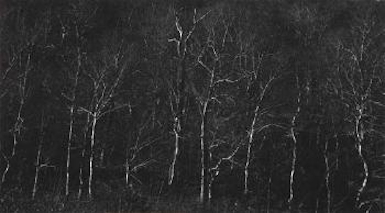 New Hampshire by Harry Callahan