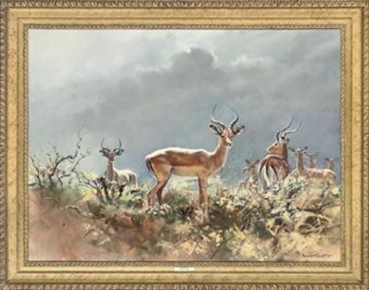 Impala and kudu by Donald Grant