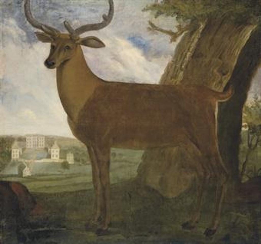 A stag in Aldwarke Park, near Rotherham, Yorkshire by English School