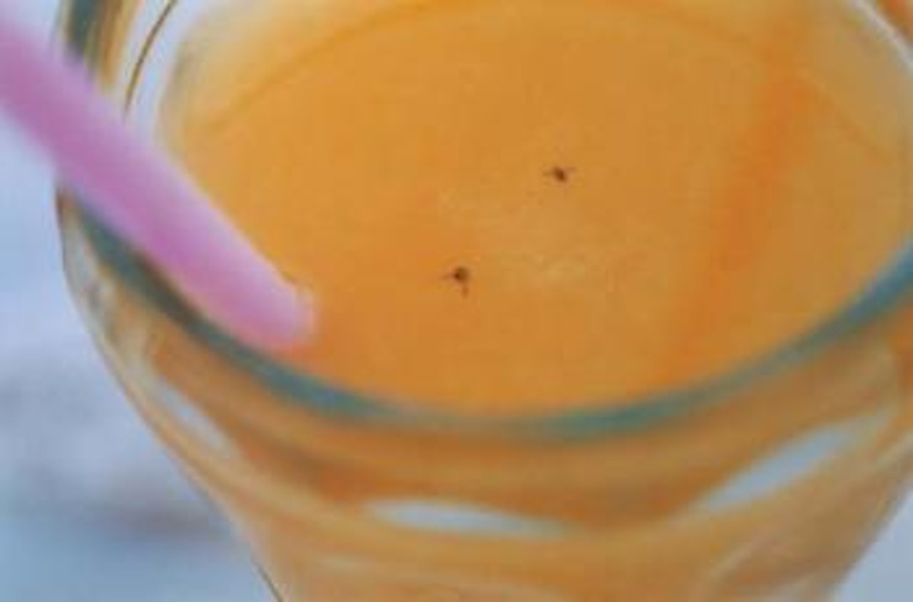 Orange Flies by Gabriel Orozco