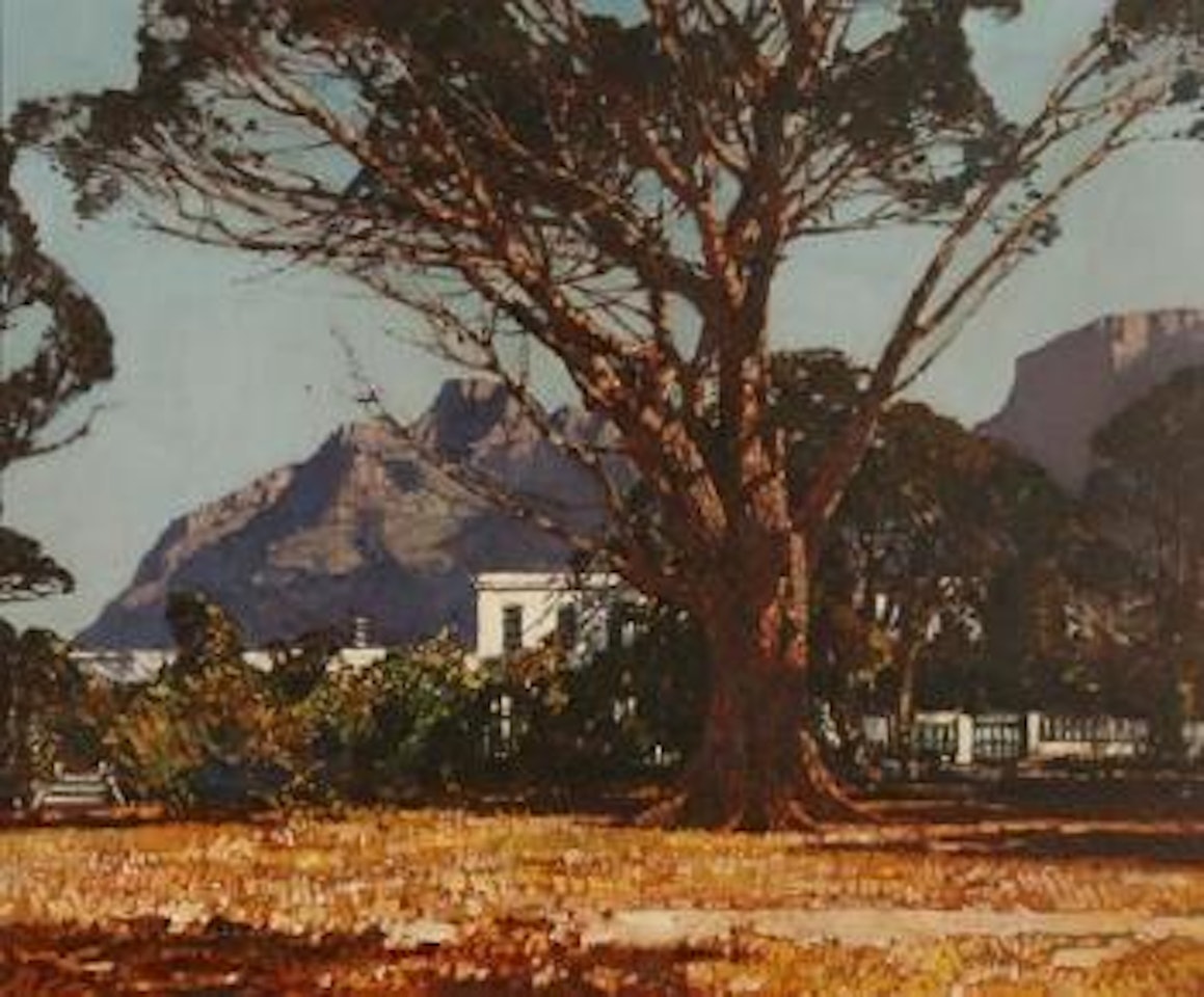 Cape Homestead by Robert Gwelo Goodman