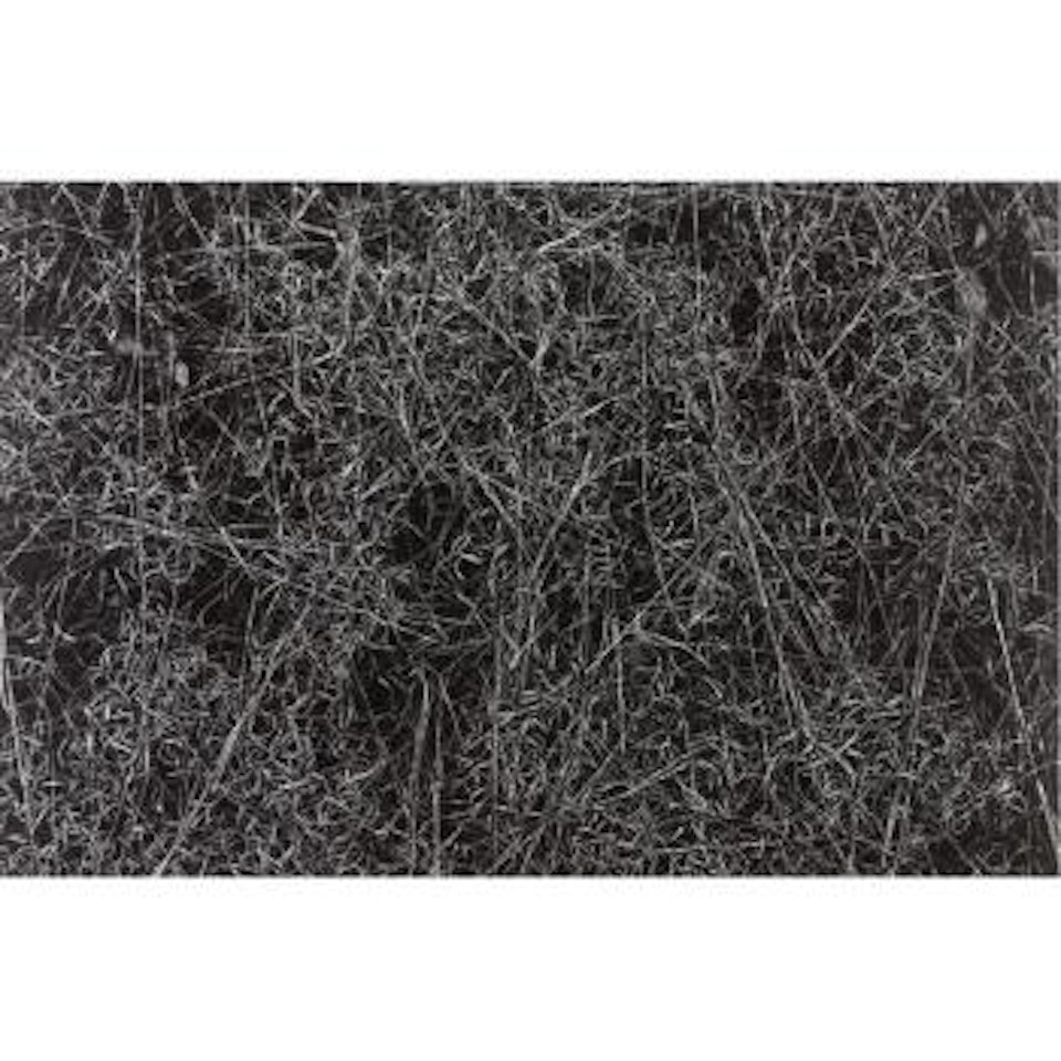 Rhode Island (Grasses) by Harry Callahan