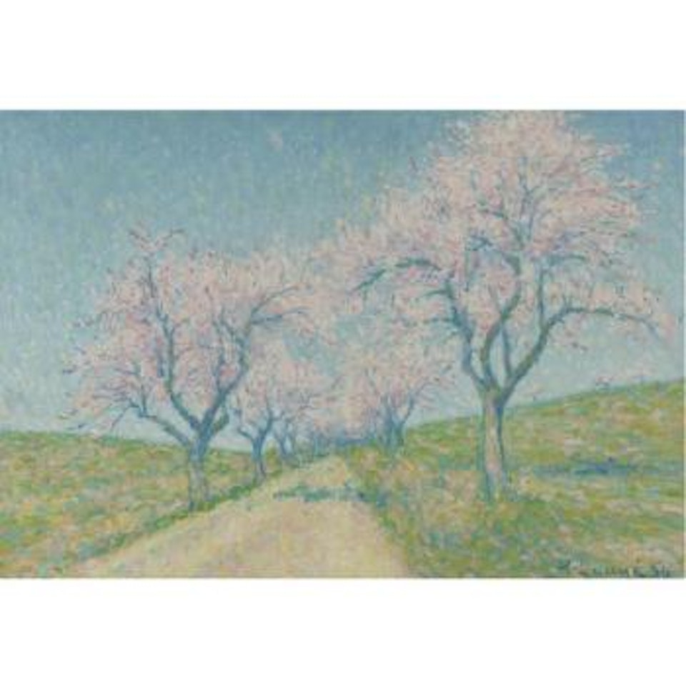 Chemin Bordé D'amandiers En Fleurs by Achille Laugé