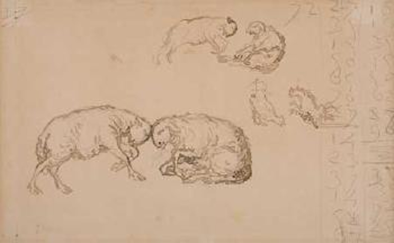 Deux moutons s'affrontant by Jean-François Millet