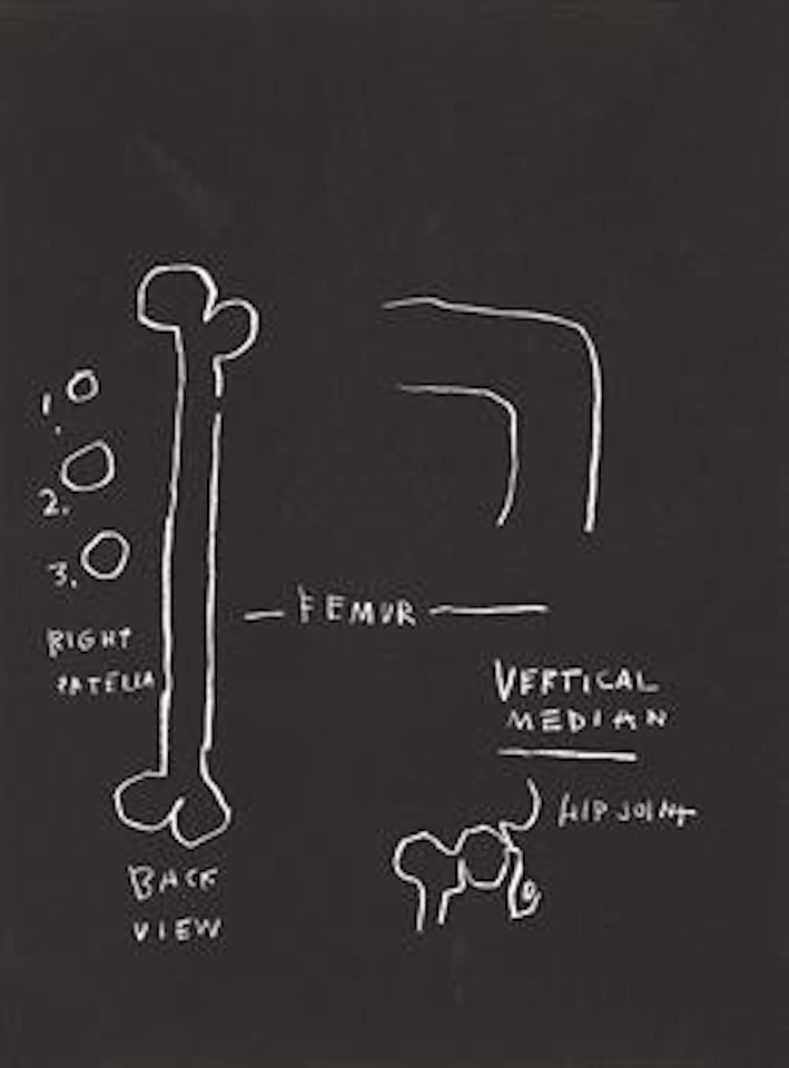 Anatomy: one plate by Jean-Michel Basquiat