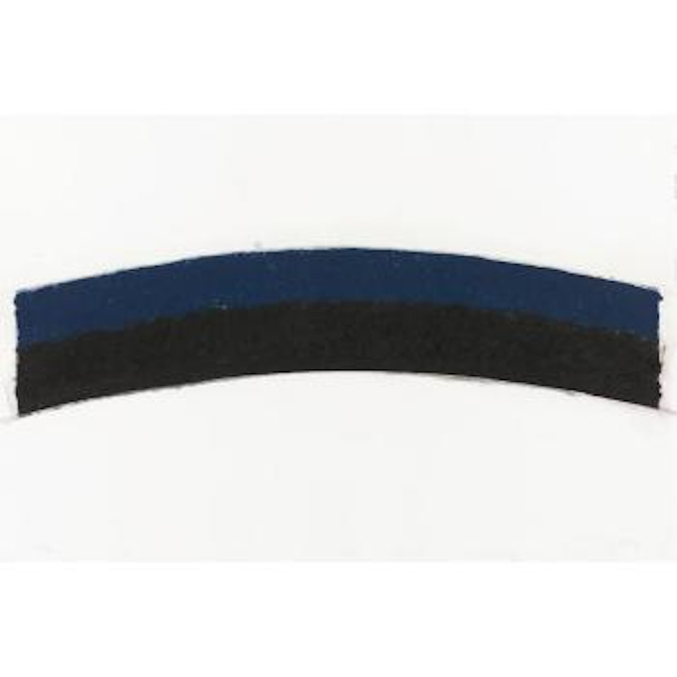 Colored Paper Image III (Blue Black Curves) (Axsom 143) by Ellsworth Kelly