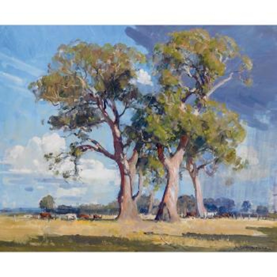 The Three Gums by Arthur Ernest Streeton