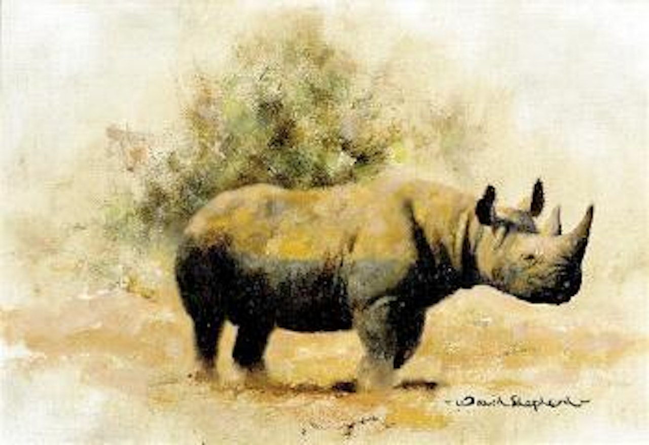 Rhino [green stone] by David Shepherd