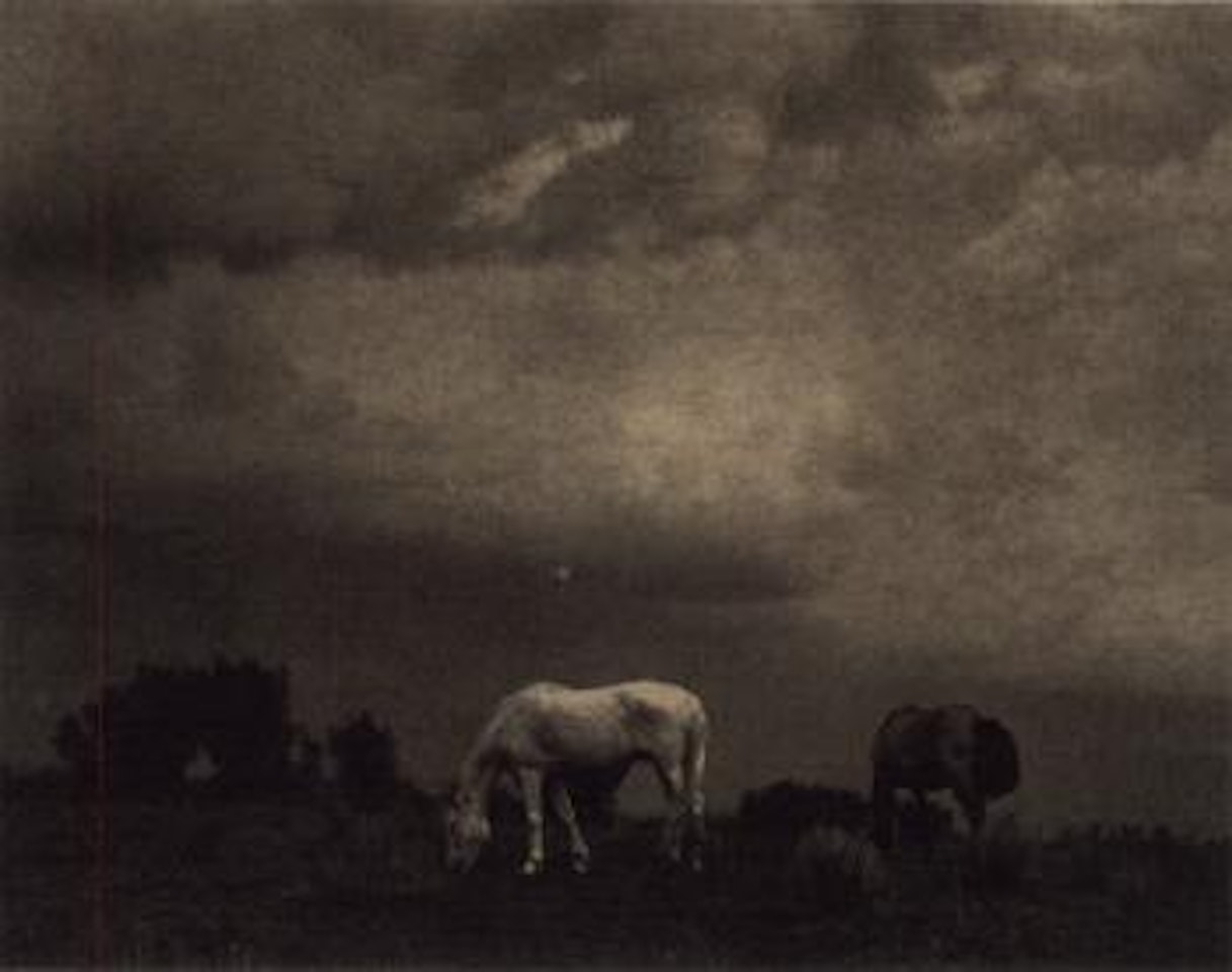 Grazing horses, New Mexico by Paul Strand