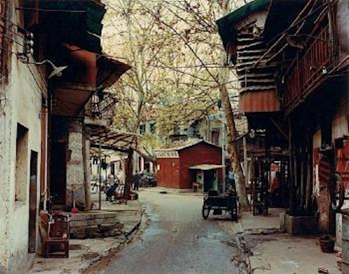 Gasse mit platanen Wuhan-China by Thomas Struth